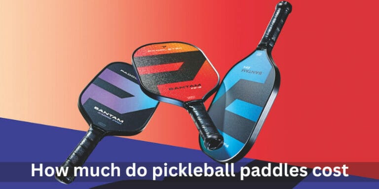 How much do pickleball paddles cost | Pickleball Cutter