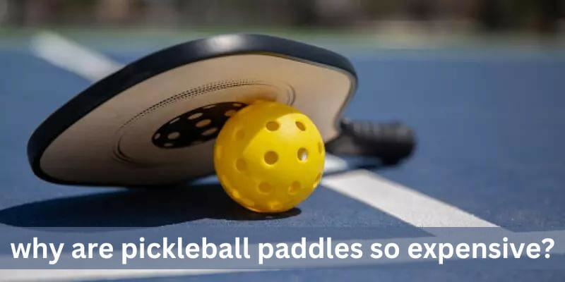 why are pickleball paddles so expensive?