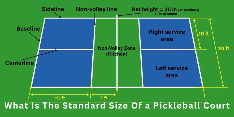 What Is The Standard Size Of a Pickleball Court